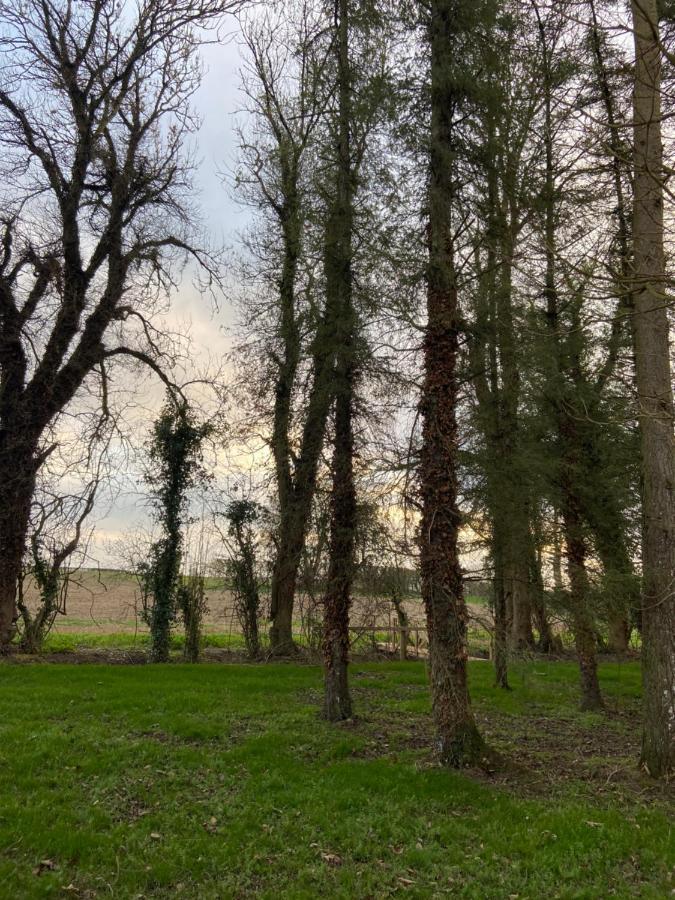 Kildare Countryside Pods Villa Buitenkant foto