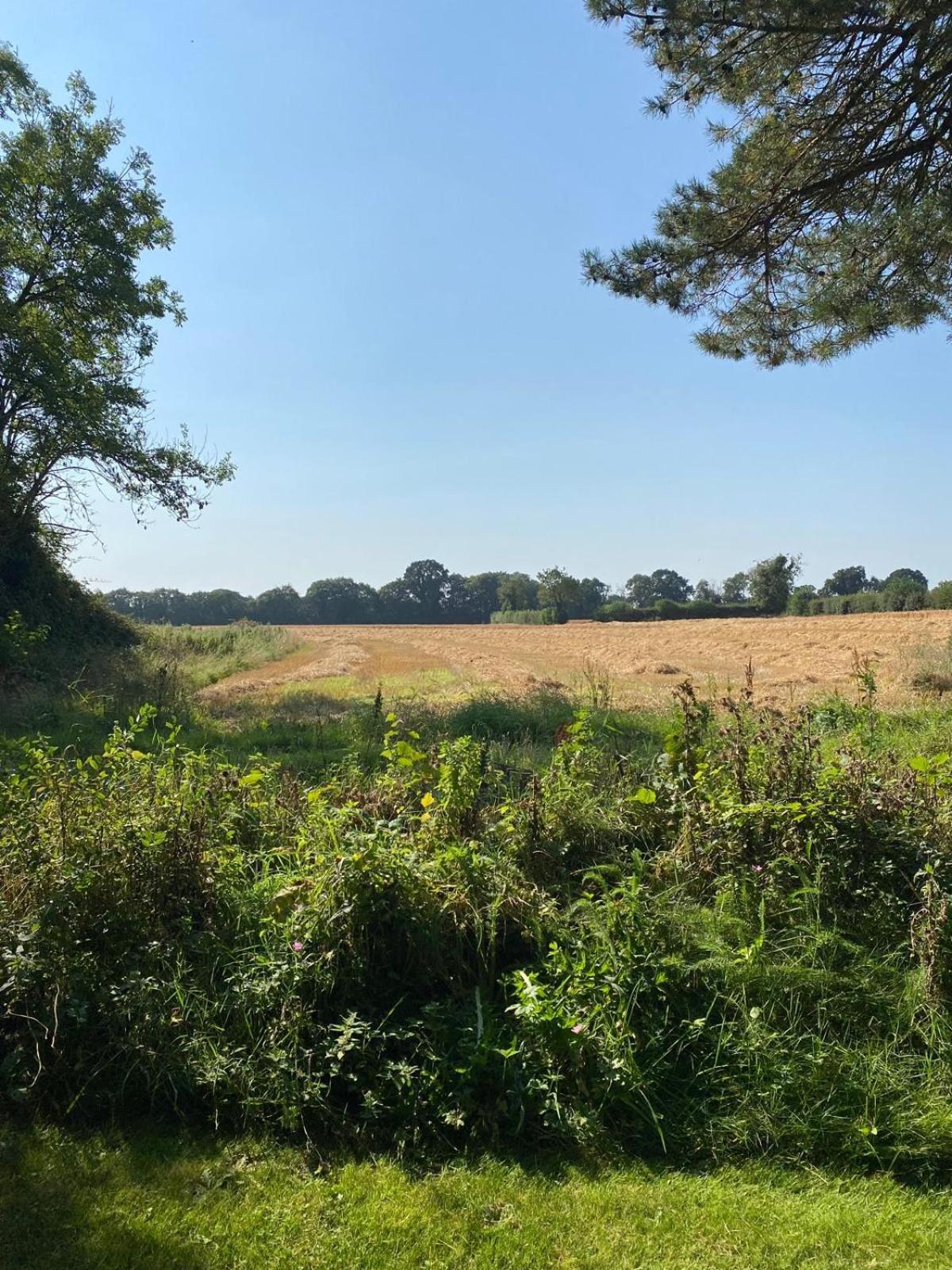 Kildare Countryside Pods Villa Buitenkant foto