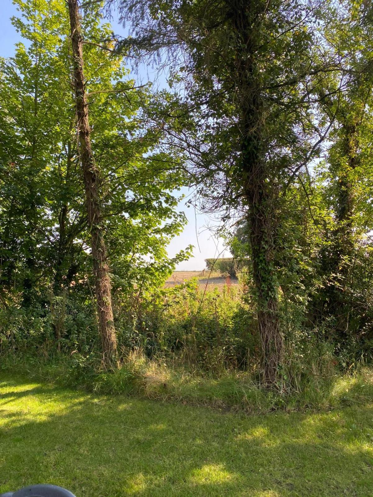 Kildare Countryside Pods Villa Buitenkant foto
